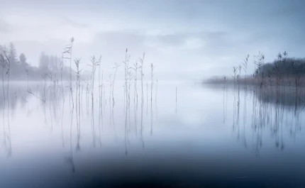 Calm Lake
