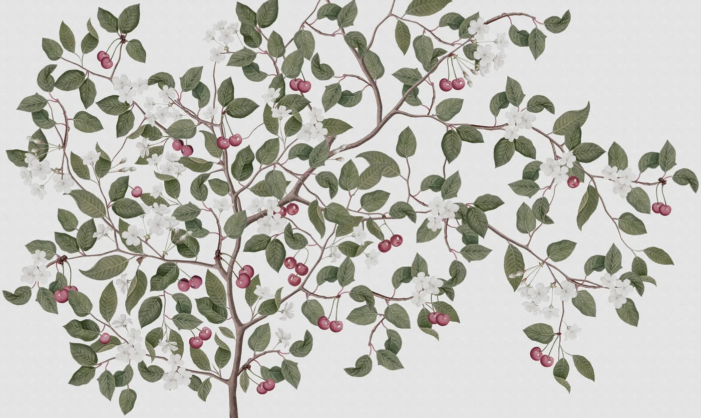 rebelwalls-cherries-white-r18668-flat Cherries White Cottage Core Rebel Walls Wallpaper R18668
