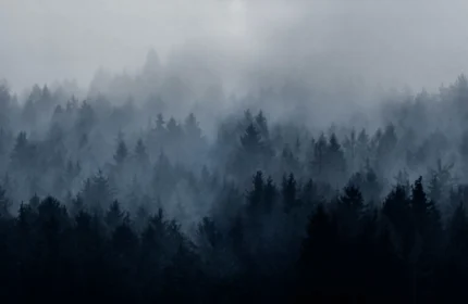 Cloudy Forest, Blue