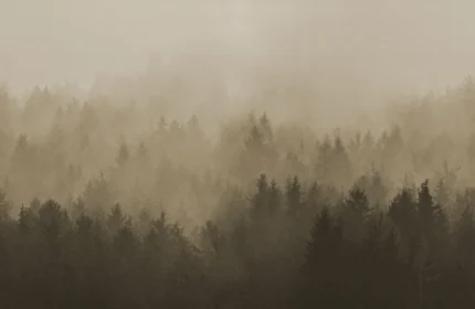 Cloudy Forest, Brown | Free Shipping