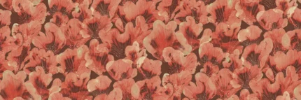 Corals, Red Meet a Rebel Walls Wallpaper R19822