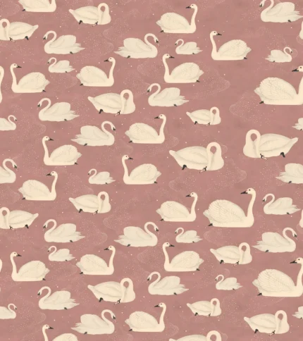 Cygne, Rose