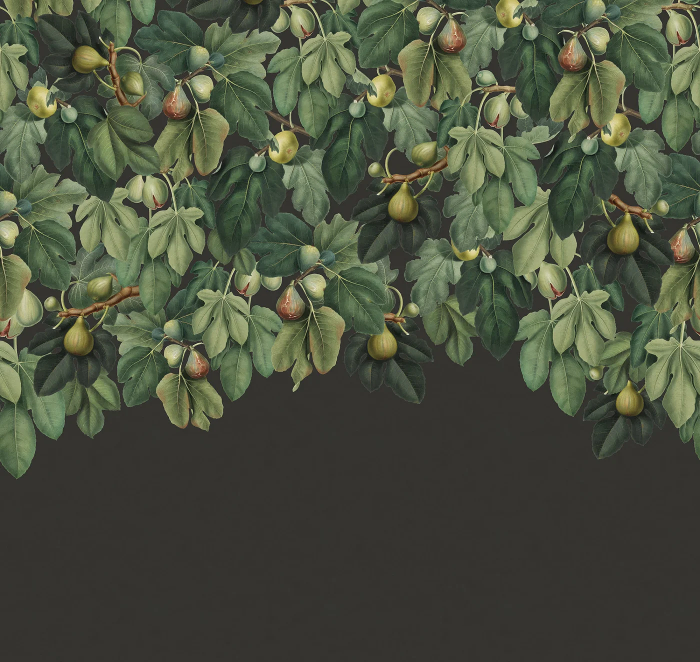 rebelwalls-dangling-figs-lush-r19721-flat Dangling Figs Lush - Image 1