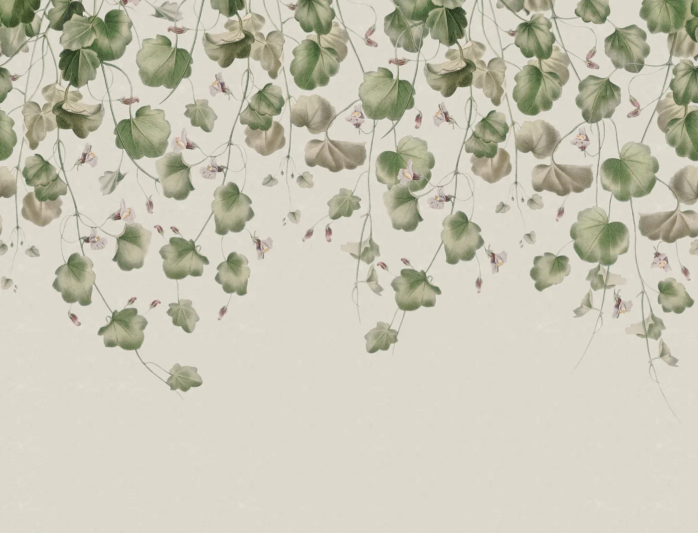 rebelwalls-dangling-ivy-soft-r19917-flat Dangling Ivy, Soft - Image 1