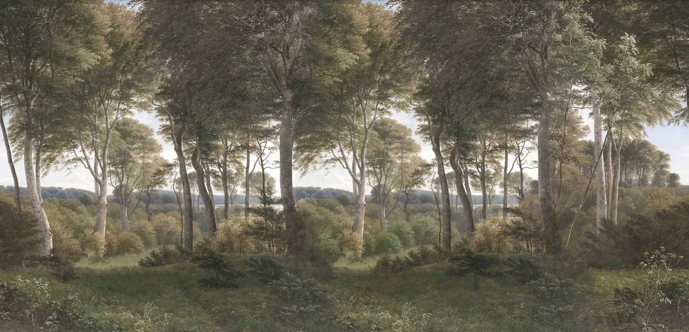 rebelwalls-danish-forest-morning-r18807-flat Danish Forest, Morning - Image 1