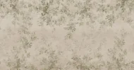Color Variation
