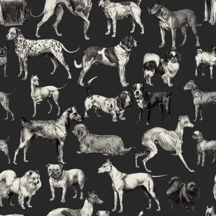 Dogs Harlequin
