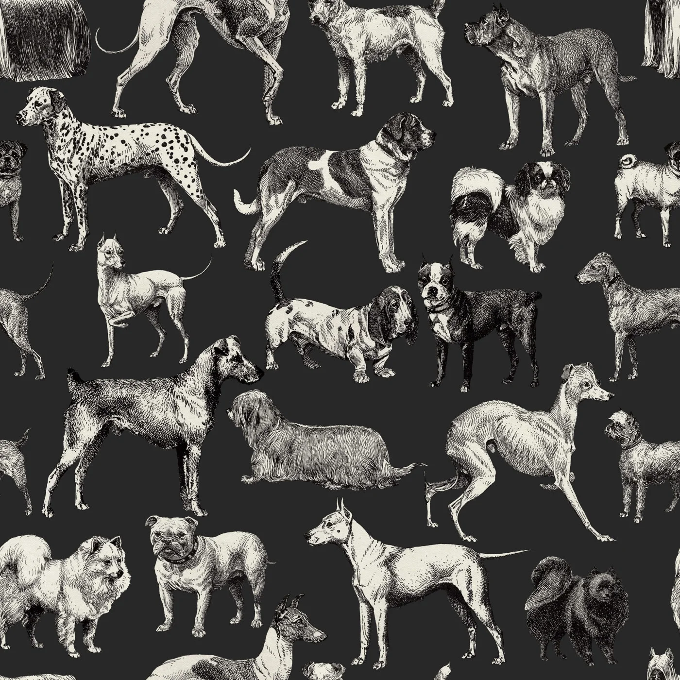 rebelwalls-dogs-harlequin-r19677-flat Dogs Harlequin - Image 1