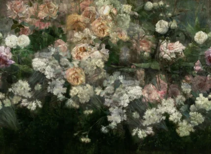Drape Of Roses, Midnight
