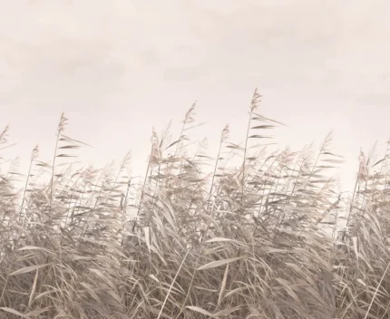 Dreamy Reed,	Pink