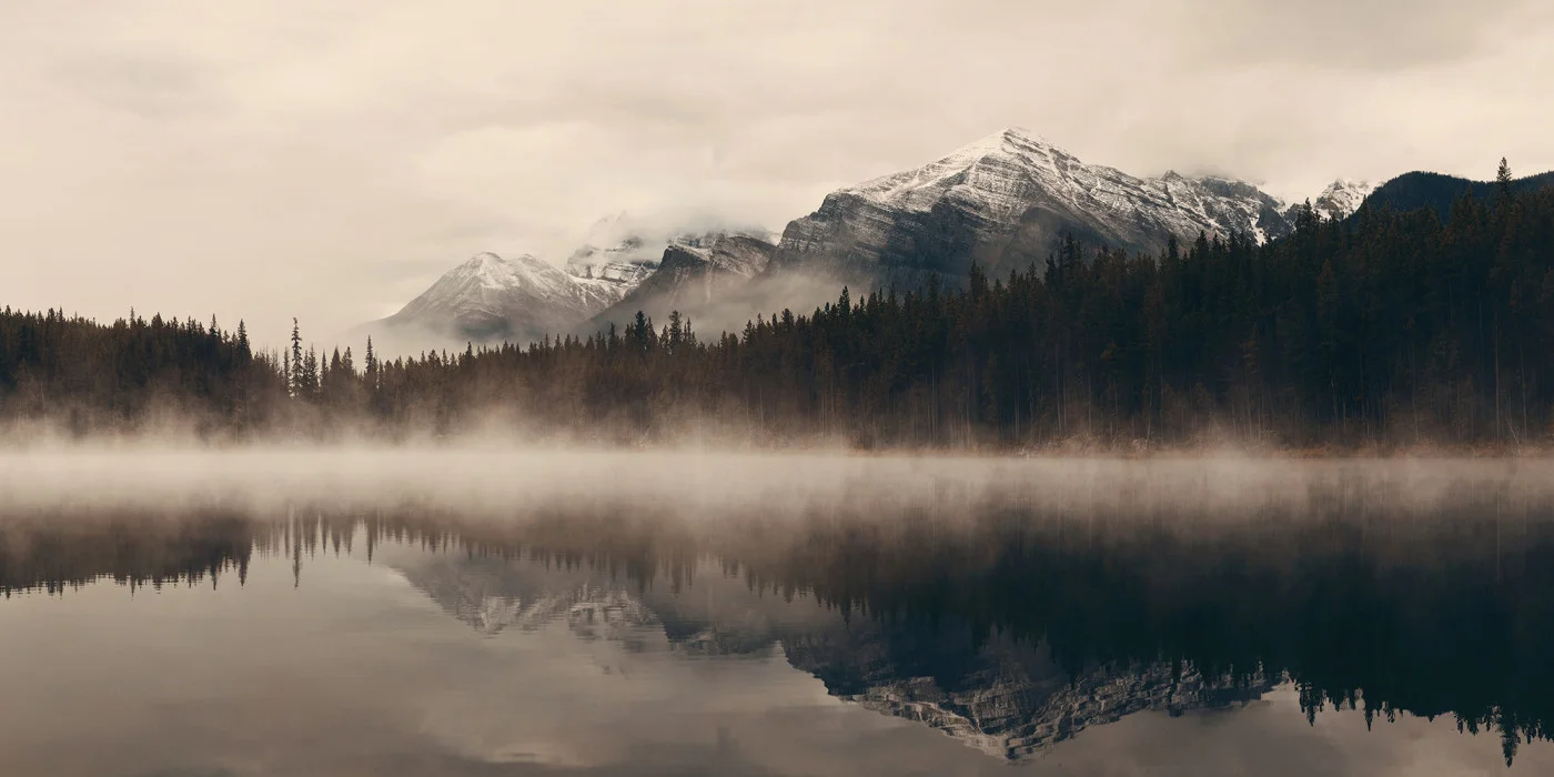 rebelwalls-early-morning-r19519-flat Early Morning Shutterstock Rebel Walls Wallpaper R19519