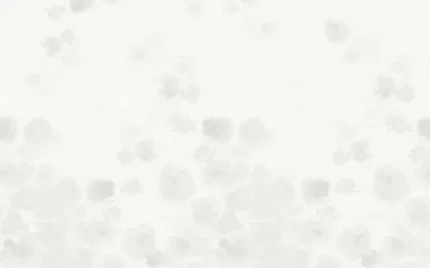 Faded Dreams, White