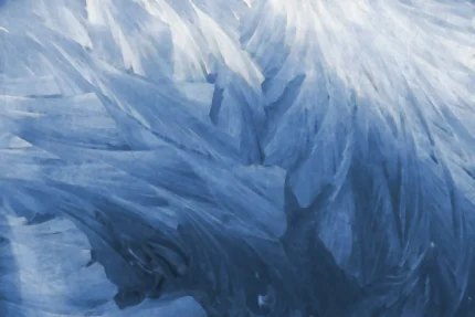 Feathers