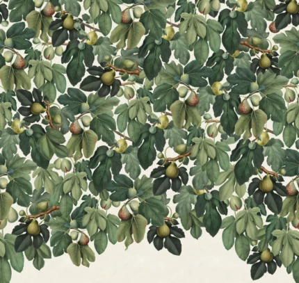 Fig Tree Green