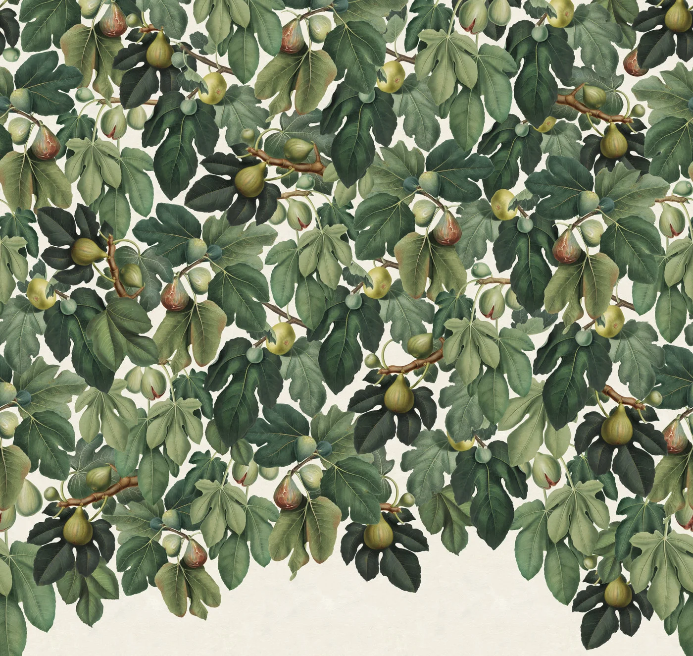 rebelwalls-fig-tree-green-r19657-flat Fig Tree Green Pops Rebel Walls Wallpaper R19657