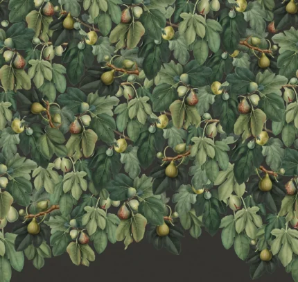 Fig Tree Lush