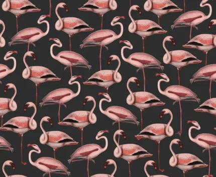 Flamingos Liquorice