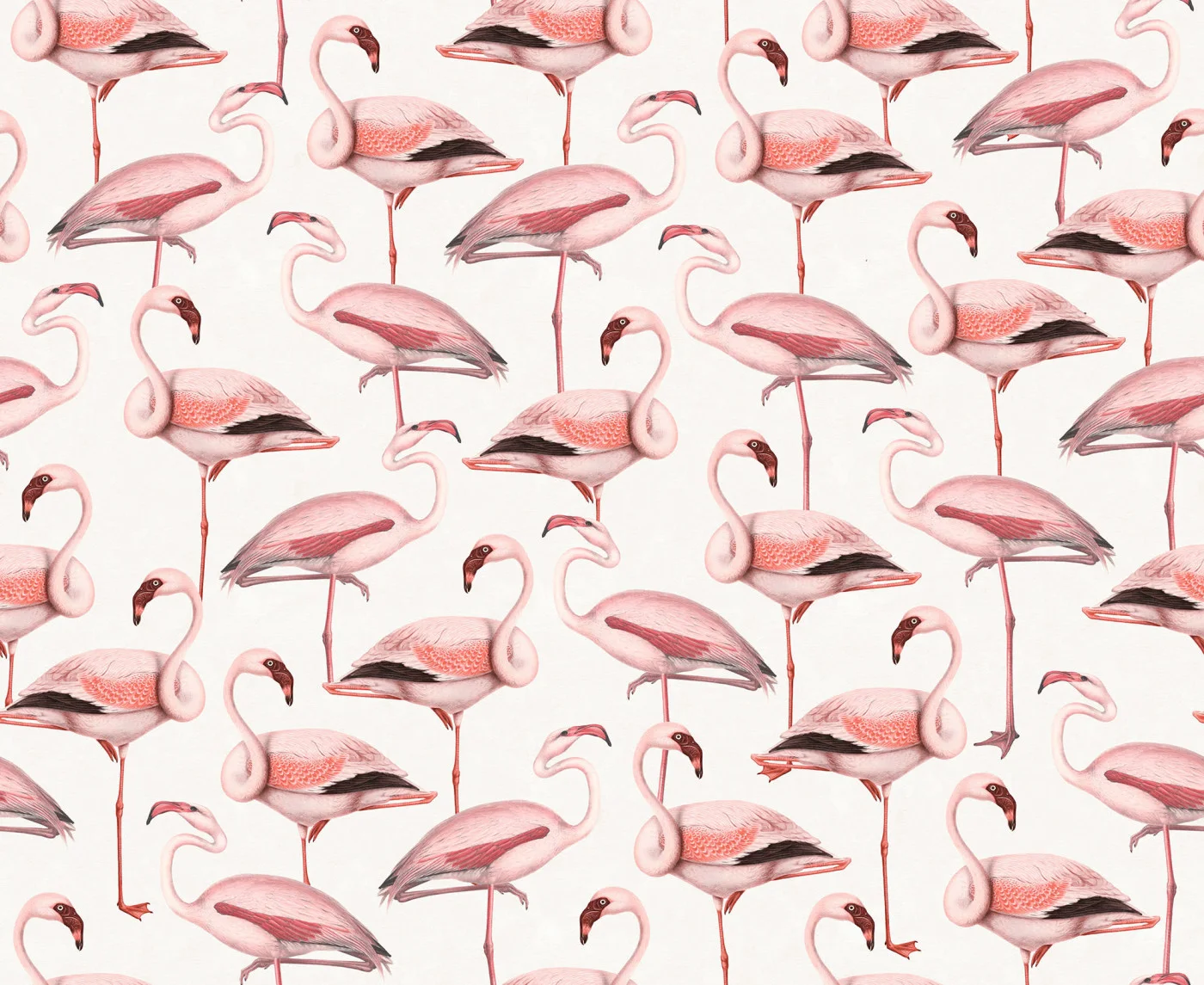 rebelwalls-flamingos-soft-pink-r19653-flat Flamingos Soft Pink Pops Rebel Walls Wallpaper R19653