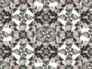 Color Variation