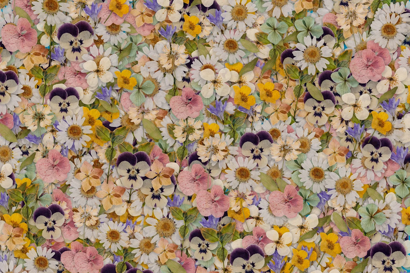 rebelwalls-floral-meadow-multi-r22391-flat Floral Meadow, Multi - Image 1