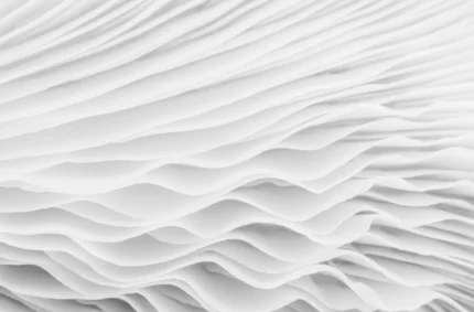 Flounce
