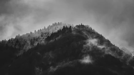 Foggy Mountain, Black & White
