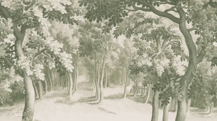 Forest Engraving – Green