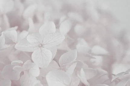 Grand Hydrangea, Soft Pink