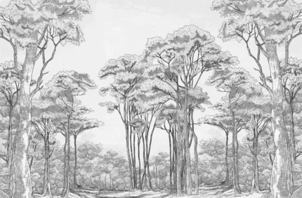 Graphic Trees, Black & White