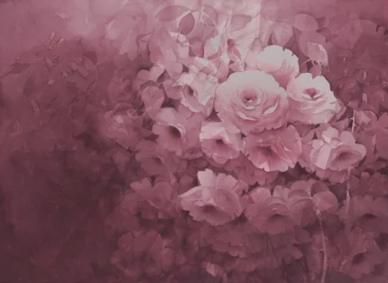 Harmony, Fuchsia