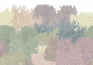 Color Variation