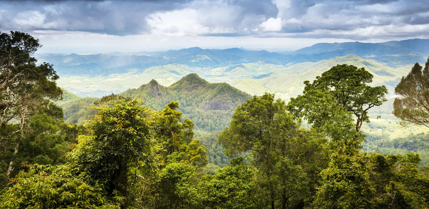 rebelwalls-high-mountains-green-r22185-flat High Mountains – Green - Image 1