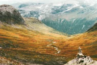 Color Variation