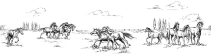 Horses Herd Grand, Black