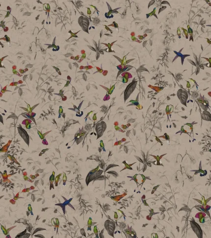 Hummingbird, Beige