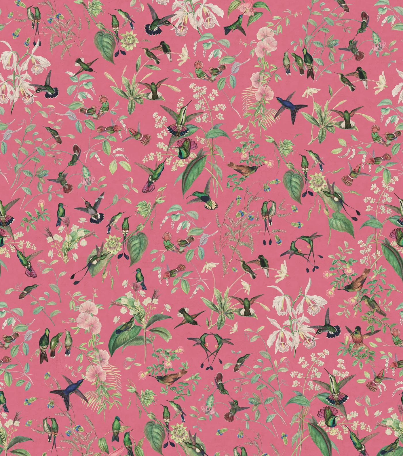 rebelwalls-hummingbird-cerice-r19668-flat Hummingbird Cerice - Image 1