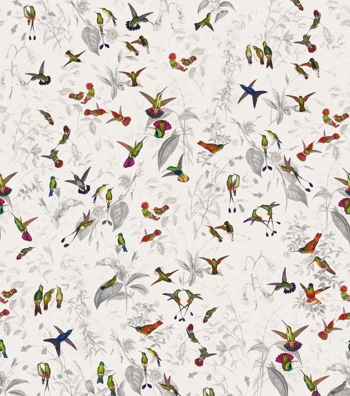 rebelwalls-hummingbird-light-r19725-flat Hummingbird Light - Image 1