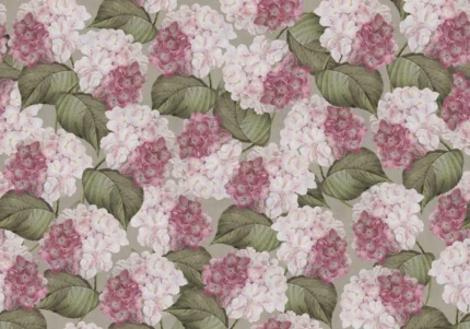 Hydrangea Pink