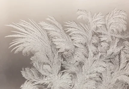 Ice Crystals