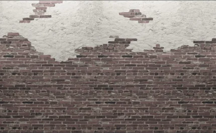 Ivory Bricks, Red