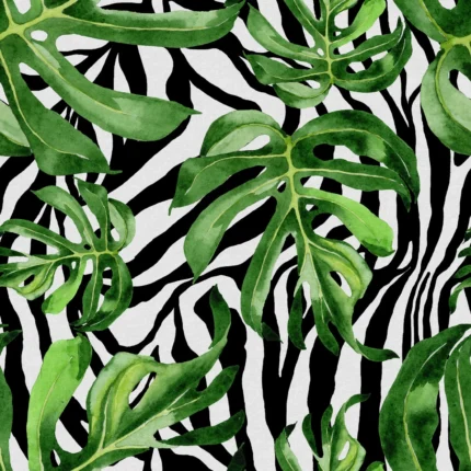 Jungle Zebra