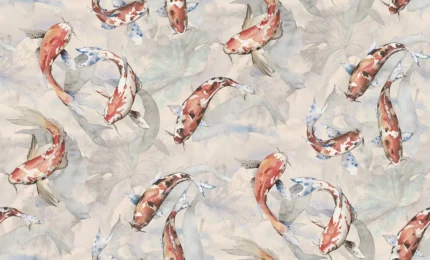Koi Coral