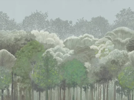 Leafy Forest, Summer