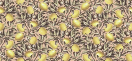 Lemon Tree	Pink