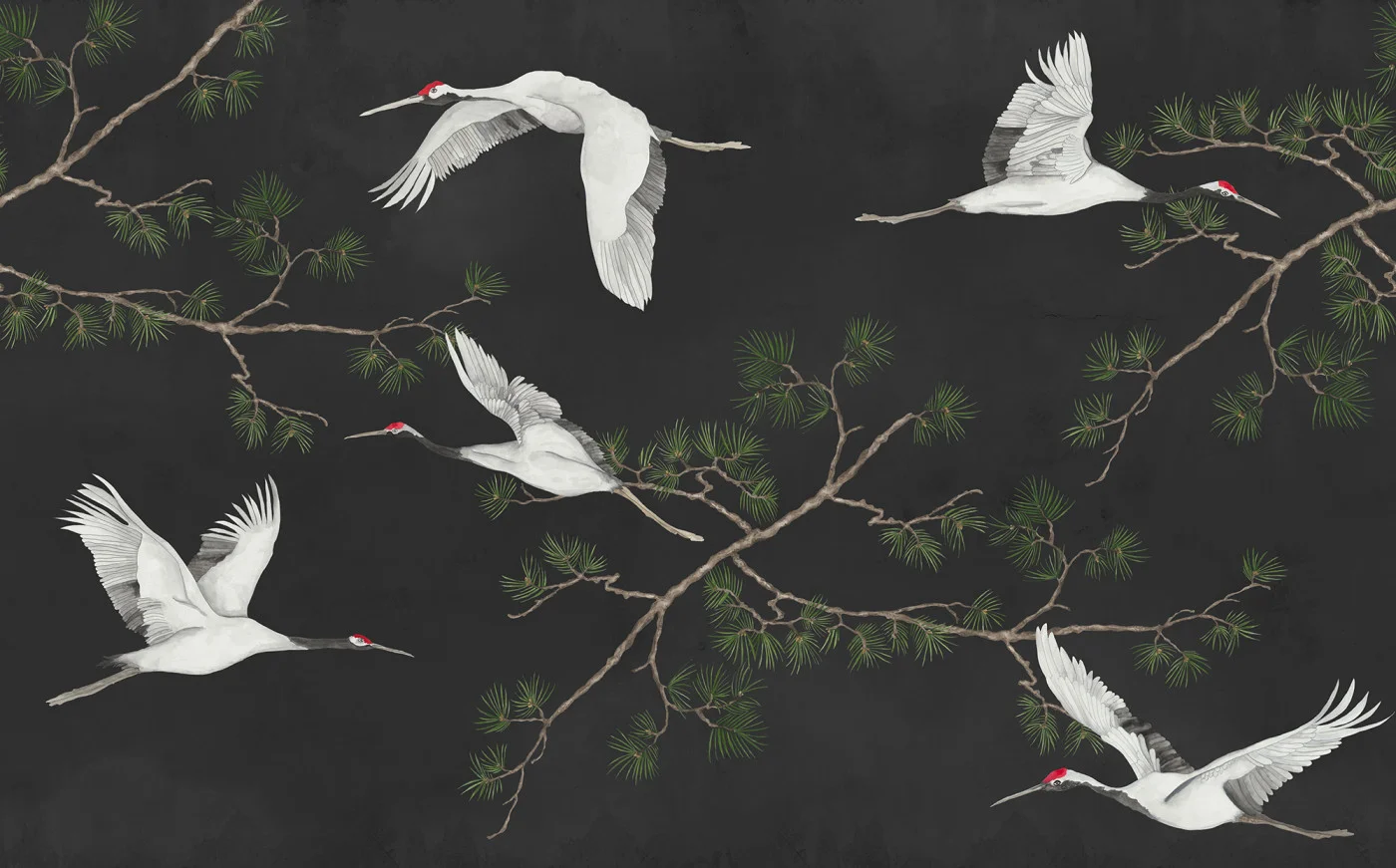 rebelwalls-majestic-cranes-black-r20336-flat Majestic Cranes, Black Poetic Rebel Walls Wallpaper R20336