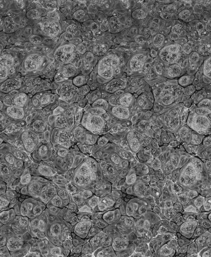 Marbling, Graphite