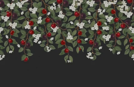 Mirabelle Midnight