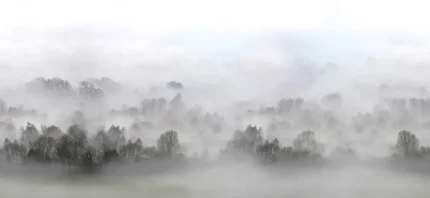 Morning Fog