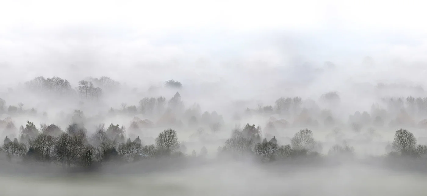 rebelwalls-morning-fog-r15301-flat Morning Fog - Image 1