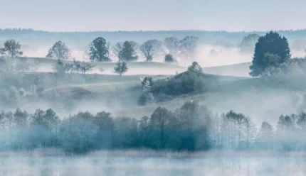 Morning Haze